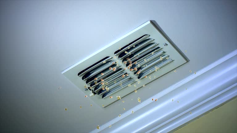 Best Commercial Air Duct Cleaning  in Justice, IL