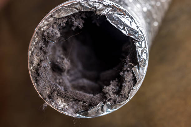Best Air Duct Cleaning Near Me  in Justice, IL