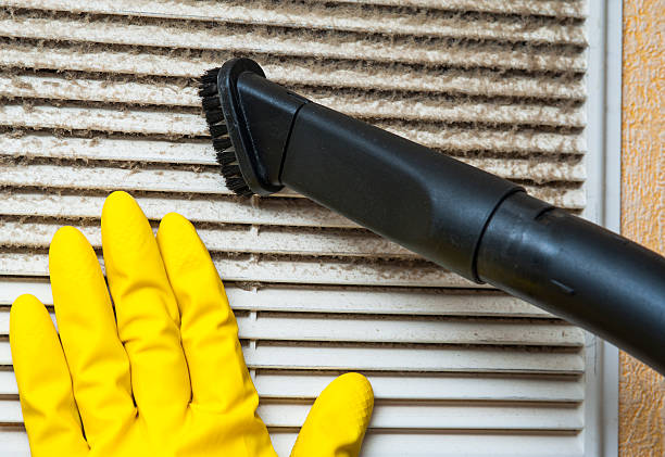 Best Local Air Duct Cleaning Services  in Justice, IL